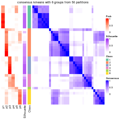 plot of chunk tab-node-04-consensus-heatmap-5