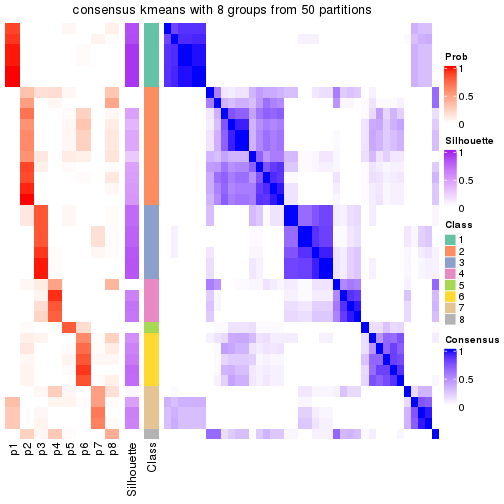 plot of chunk tab-node-04-consensus-heatmap-7