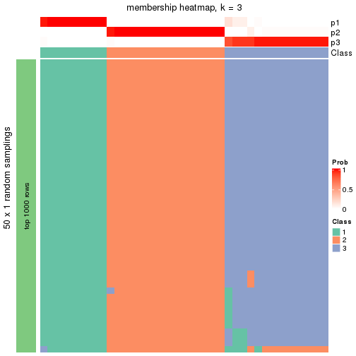 plot of chunk tab-node-04-membership-heatmap-2