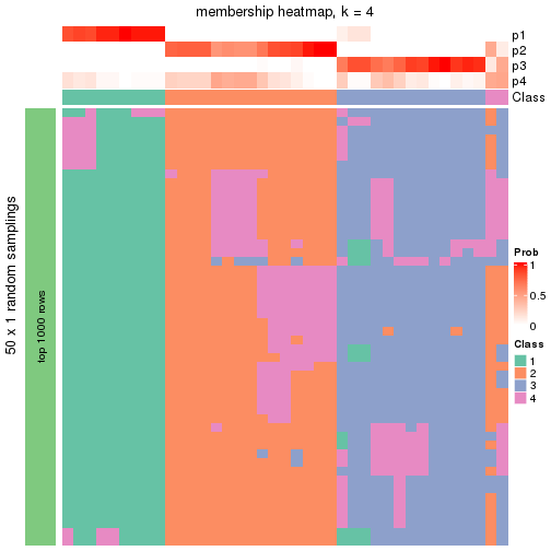 plot of chunk tab-node-04-membership-heatmap-3