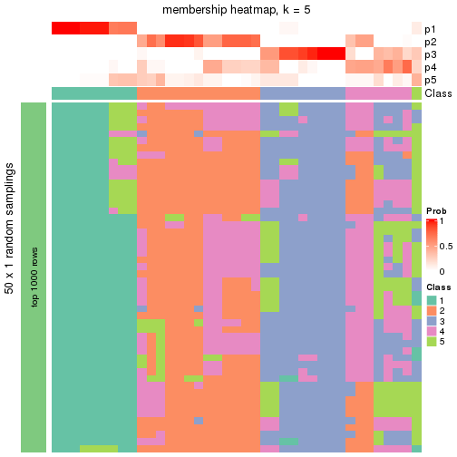 plot of chunk tab-node-04-membership-heatmap-4