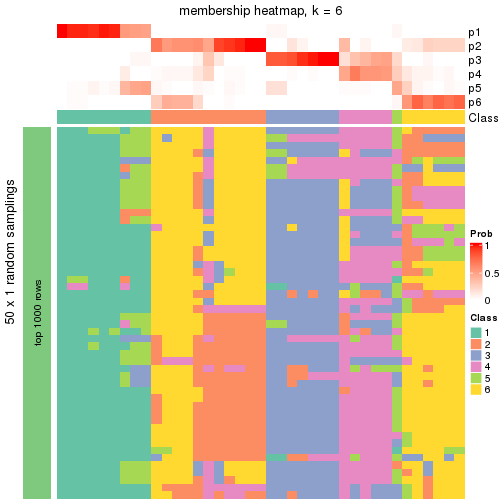 plot of chunk tab-node-04-membership-heatmap-5