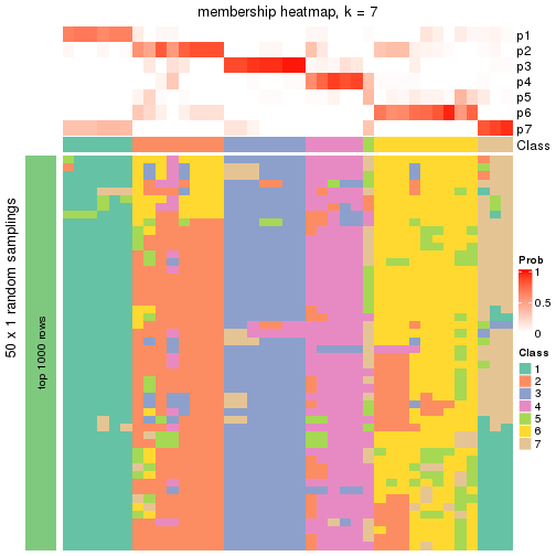 plot of chunk tab-node-04-membership-heatmap-6