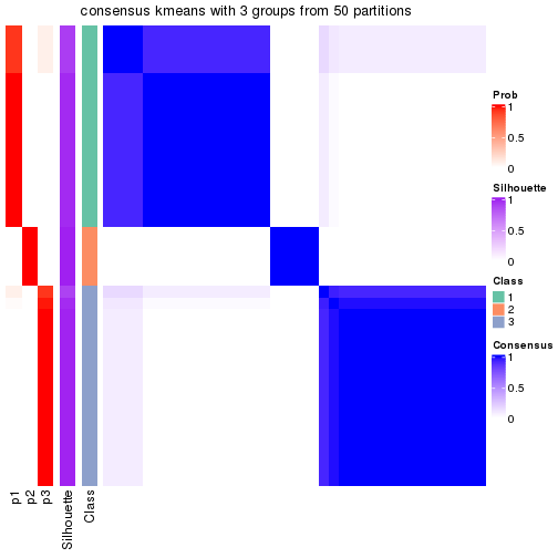 plot of chunk tab-node-05-consensus-heatmap-2