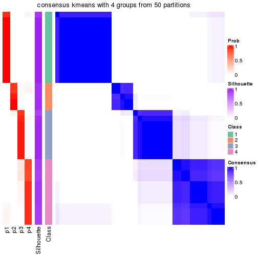 plot of chunk tab-node-05-consensus-heatmap-3