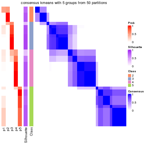 plot of chunk tab-node-05-consensus-heatmap-4