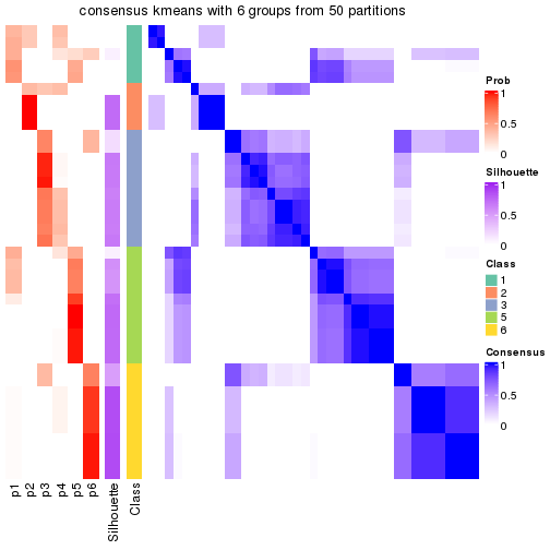 plot of chunk tab-node-05-consensus-heatmap-5