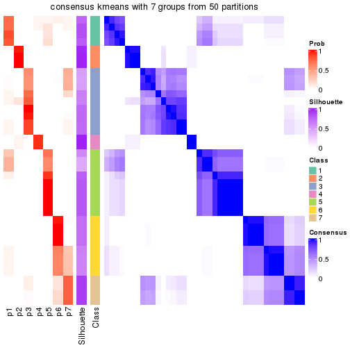 plot of chunk tab-node-05-consensus-heatmap-6