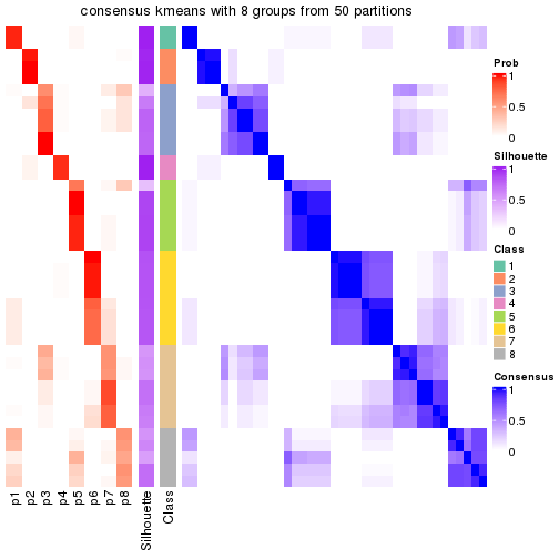 plot of chunk tab-node-05-consensus-heatmap-7