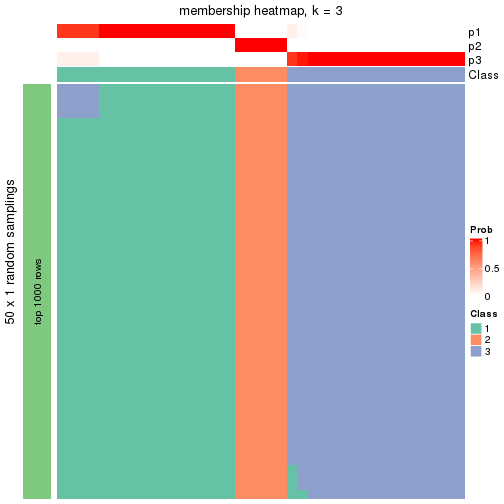 plot of chunk tab-node-05-membership-heatmap-2