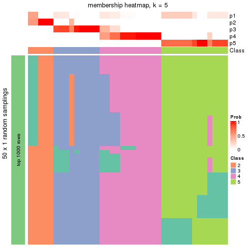 plot of chunk tab-node-05-membership-heatmap-4