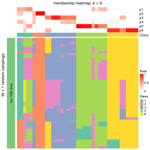 plot of chunk tab-node-05-membership-heatmap-5