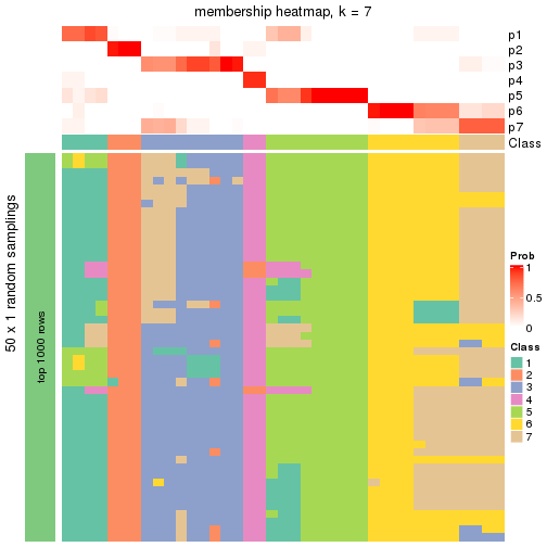 plot of chunk tab-node-05-membership-heatmap-6