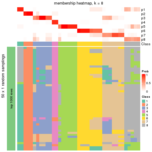 plot of chunk tab-node-05-membership-heatmap-7