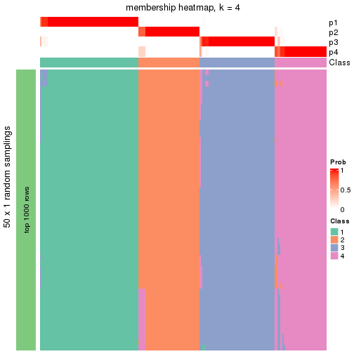 plot of chunk tab-node-0-membership-heatmap-3