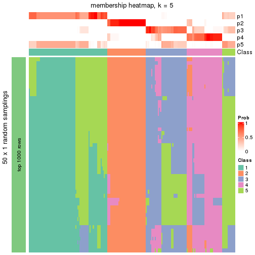 plot of chunk tab-node-0-membership-heatmap-4