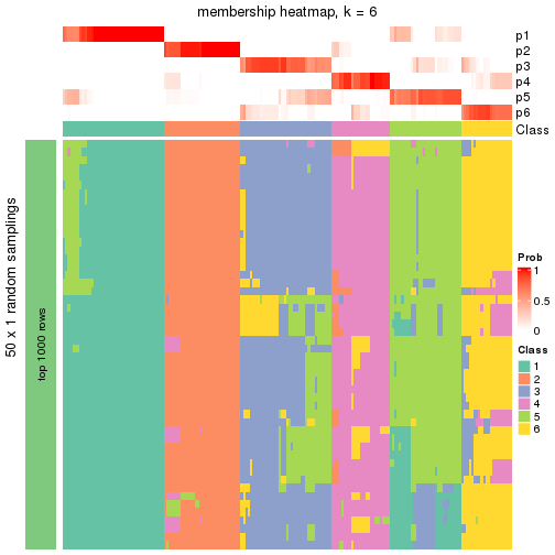 plot of chunk tab-node-0-membership-heatmap-5