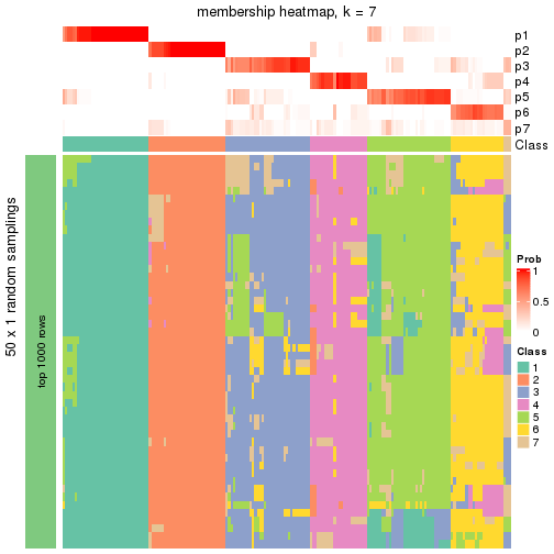 plot of chunk tab-node-0-membership-heatmap-6