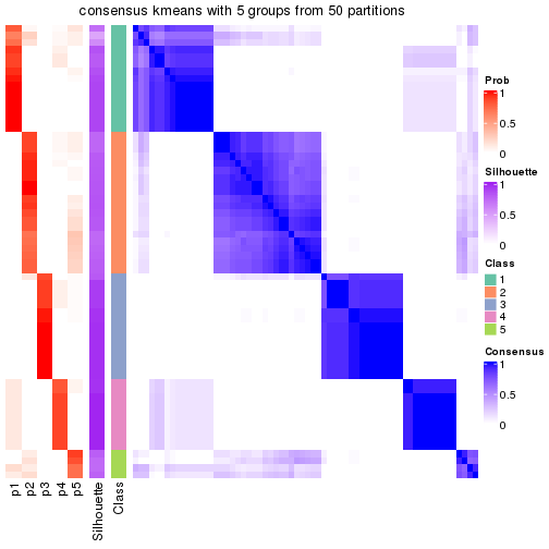 plot of chunk tab-node-01-consensus-heatmap-4