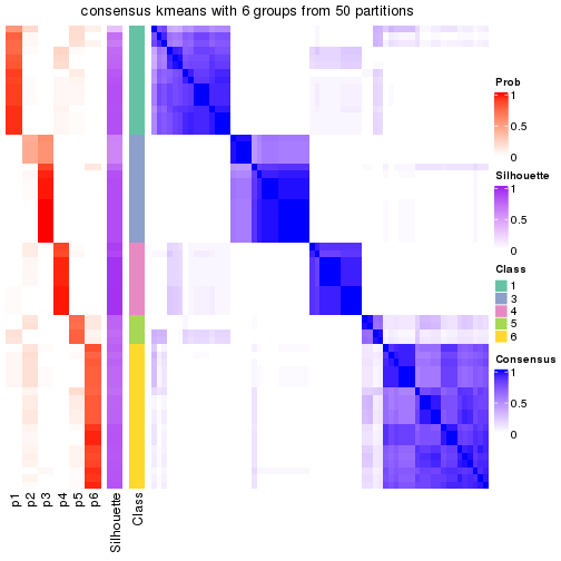 plot of chunk tab-node-01-consensus-heatmap-5