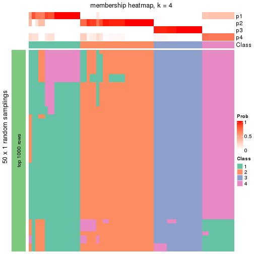 plot of chunk tab-node-01-membership-heatmap-3