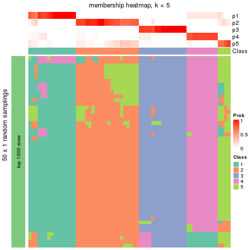 plot of chunk tab-node-01-membership-heatmap-4