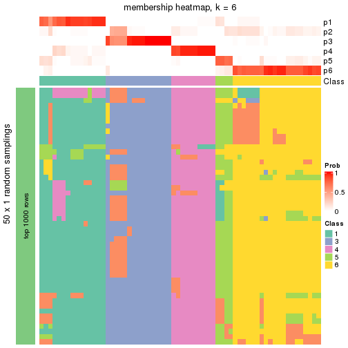 plot of chunk tab-node-01-membership-heatmap-5