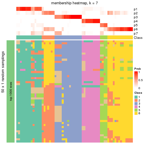 plot of chunk tab-node-01-membership-heatmap-6