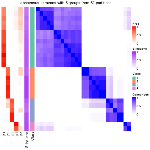 plot of chunk tab-node-012-consensus-heatmap-4