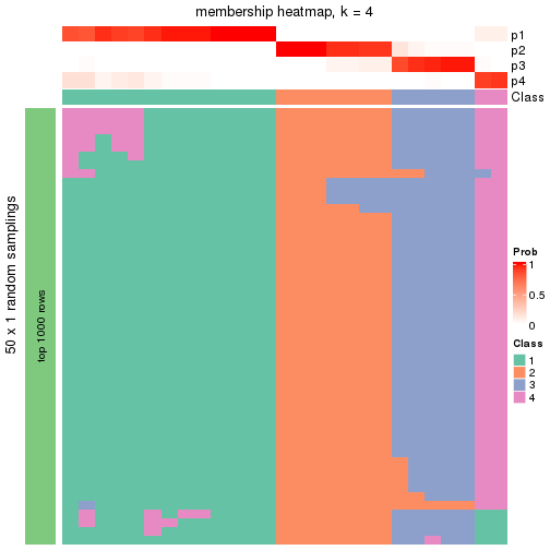 plot of chunk tab-node-012-membership-heatmap-3