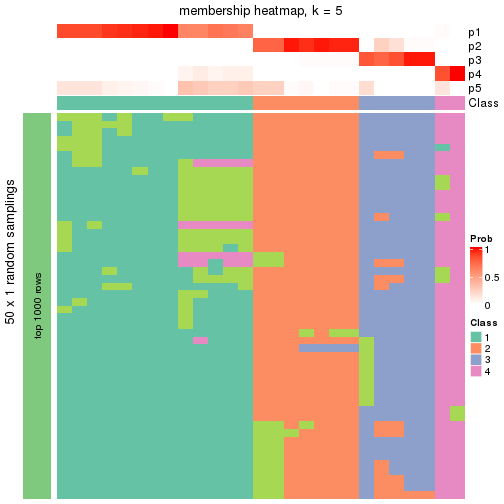 plot of chunk tab-node-012-membership-heatmap-4