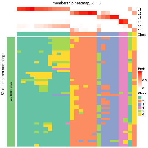 plot of chunk tab-node-012-membership-heatmap-5