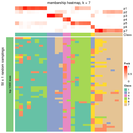 plot of chunk tab-node-012-membership-heatmap-6