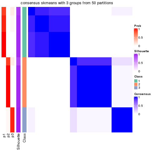 plot of chunk tab-node-013-consensus-heatmap-2