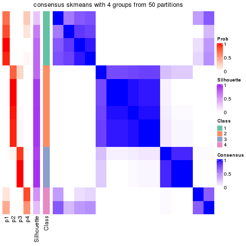 plot of chunk tab-node-013-consensus-heatmap-3