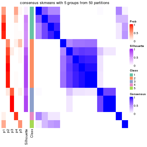 plot of chunk tab-node-013-consensus-heatmap-4