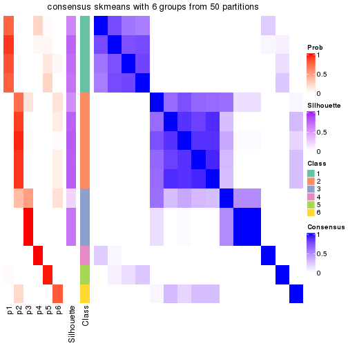 plot of chunk tab-node-013-consensus-heatmap-5