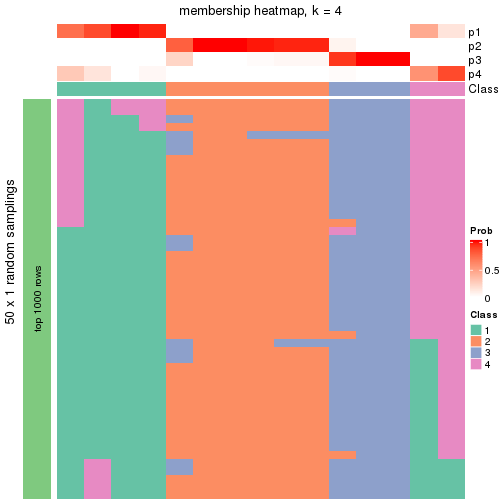 plot of chunk tab-node-013-membership-heatmap-3