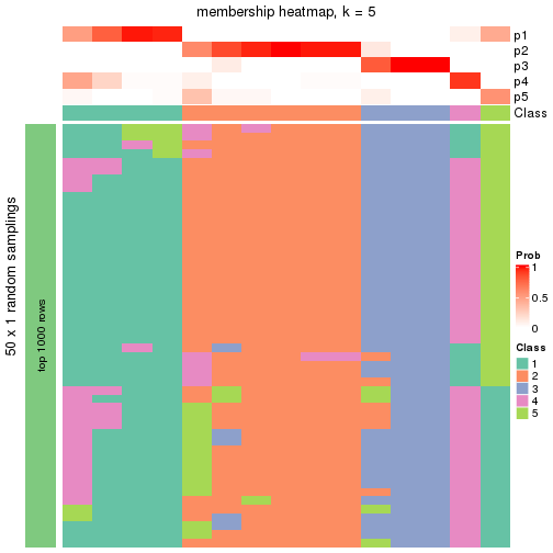 plot of chunk tab-node-013-membership-heatmap-4