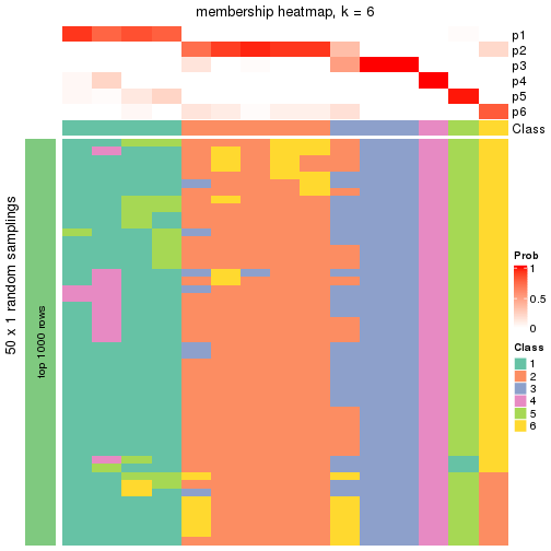 plot of chunk tab-node-013-membership-heatmap-5