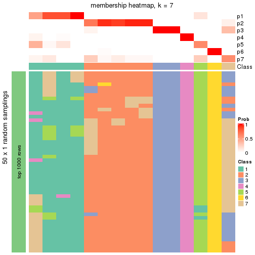 plot of chunk tab-node-013-membership-heatmap-6