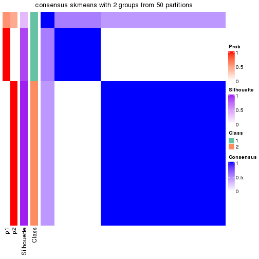 plot of chunk tab-node-02-consensus-heatmap-1