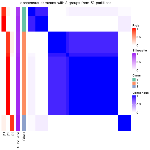 plot of chunk tab-node-02-consensus-heatmap-2