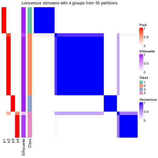 plot of chunk tab-node-02-consensus-heatmap-3