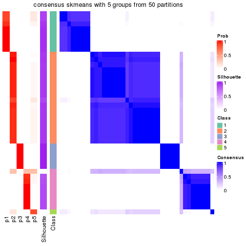 plot of chunk tab-node-02-consensus-heatmap-4