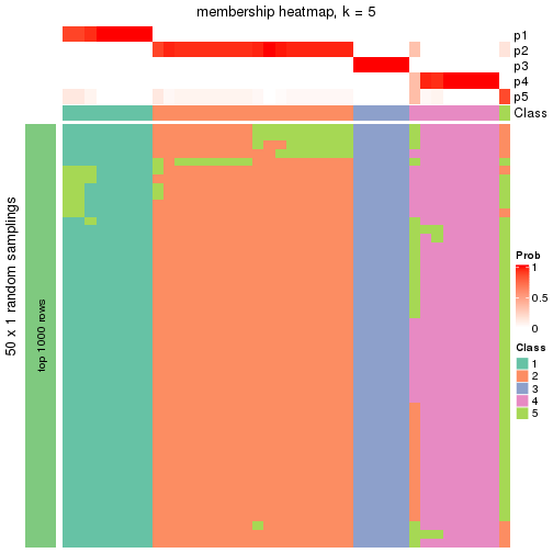 plot of chunk tab-node-02-membership-heatmap-4