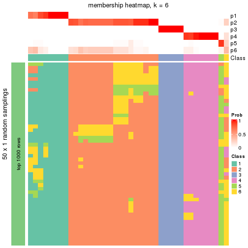 plot of chunk tab-node-02-membership-heatmap-5