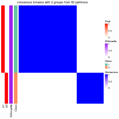 plot of chunk tab-node-022-consensus-heatmap-1