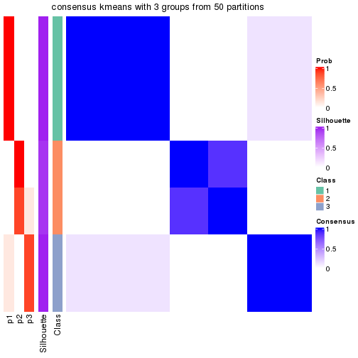 plot of chunk tab-node-022-consensus-heatmap-2