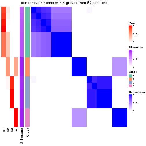 plot of chunk tab-node-022-consensus-heatmap-3